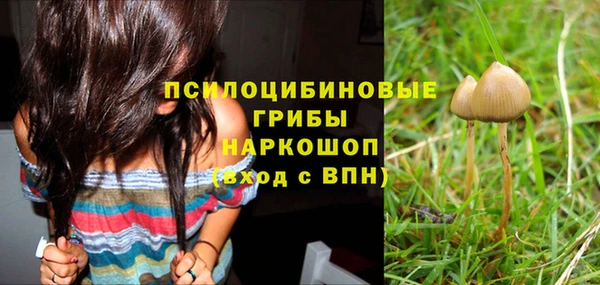 дмт Майский
