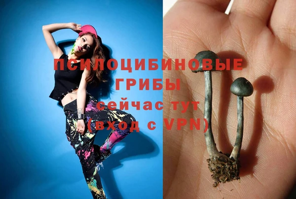 spice Магадан
