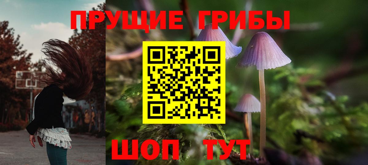 Псилоцибиновые грибы GOLDEN TEACHER  Псилоцибиновые грибы мицелий  Вход с VPN  Армавир 